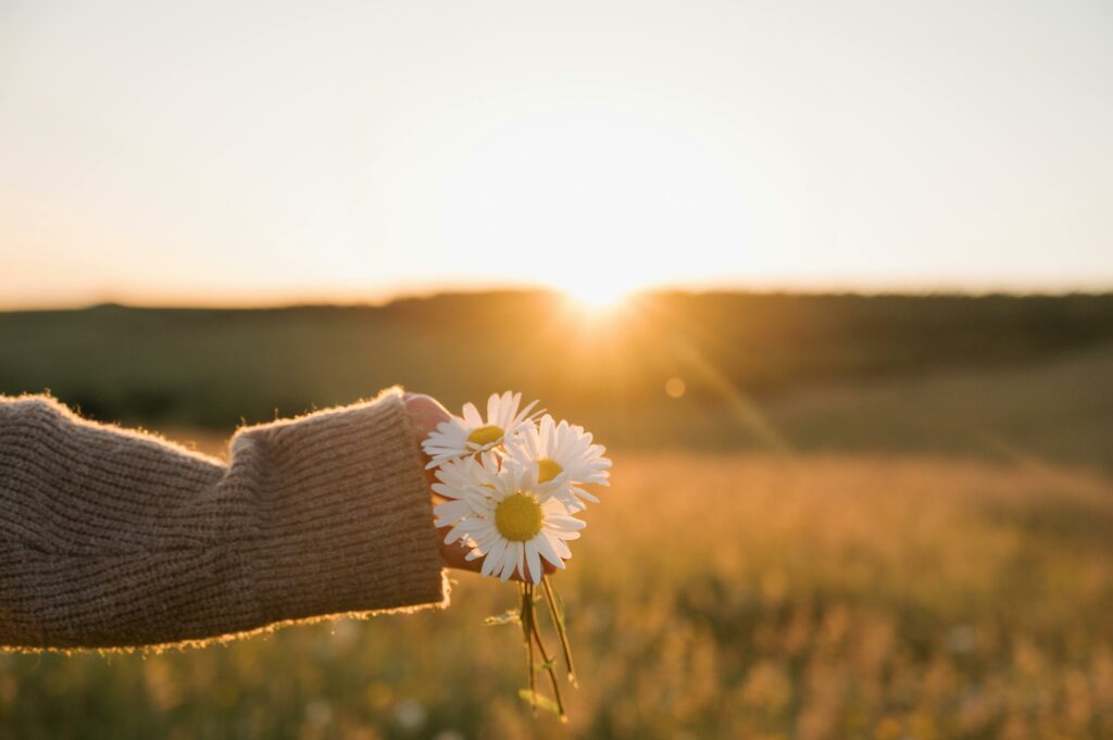 Psalm 16:11 "Fullness of Joy" (Heart South 2025)